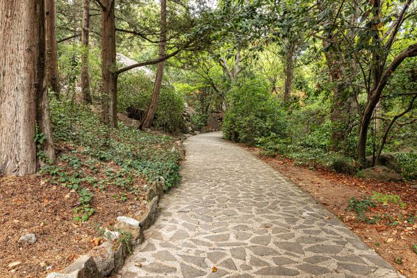 Stone Walkway Repair in Hamilton