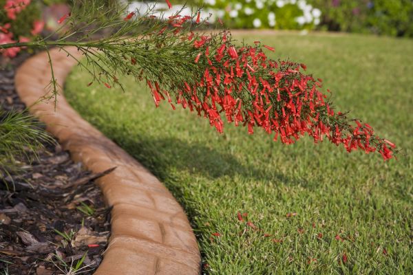 Brick Edging in Hamilton