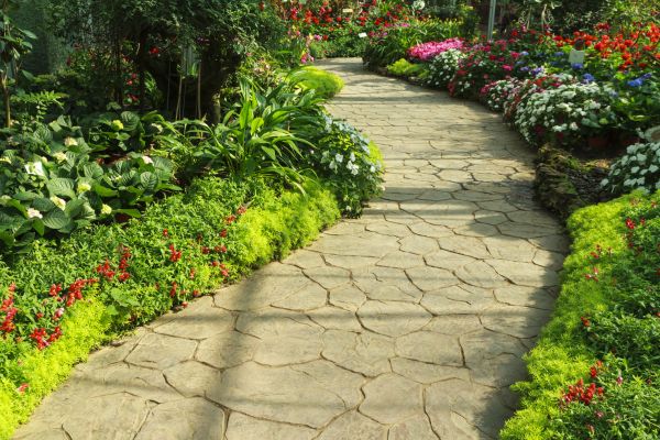 Stone Pathway Repair in Hamilton