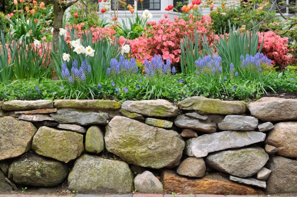 Stone Wall Hardscaping in Hamilton