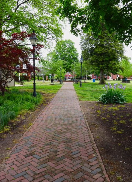Brick Pathway Repair in Hamilton
