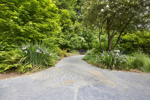 Stone Hardscape Service in Hamilton