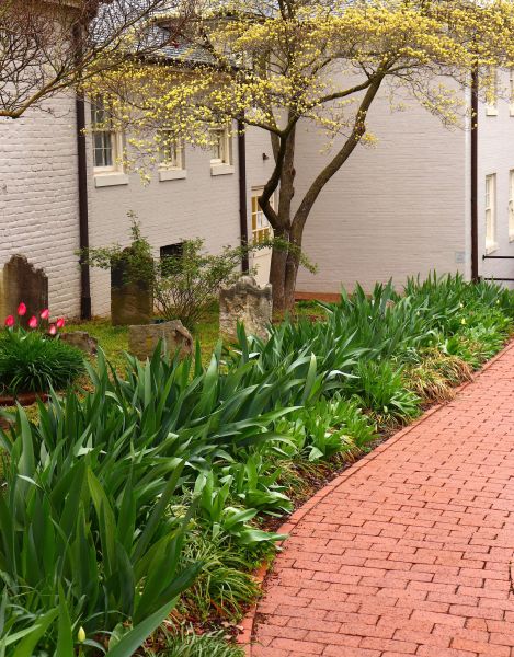 Brick Flatwork Repair in Hamilton